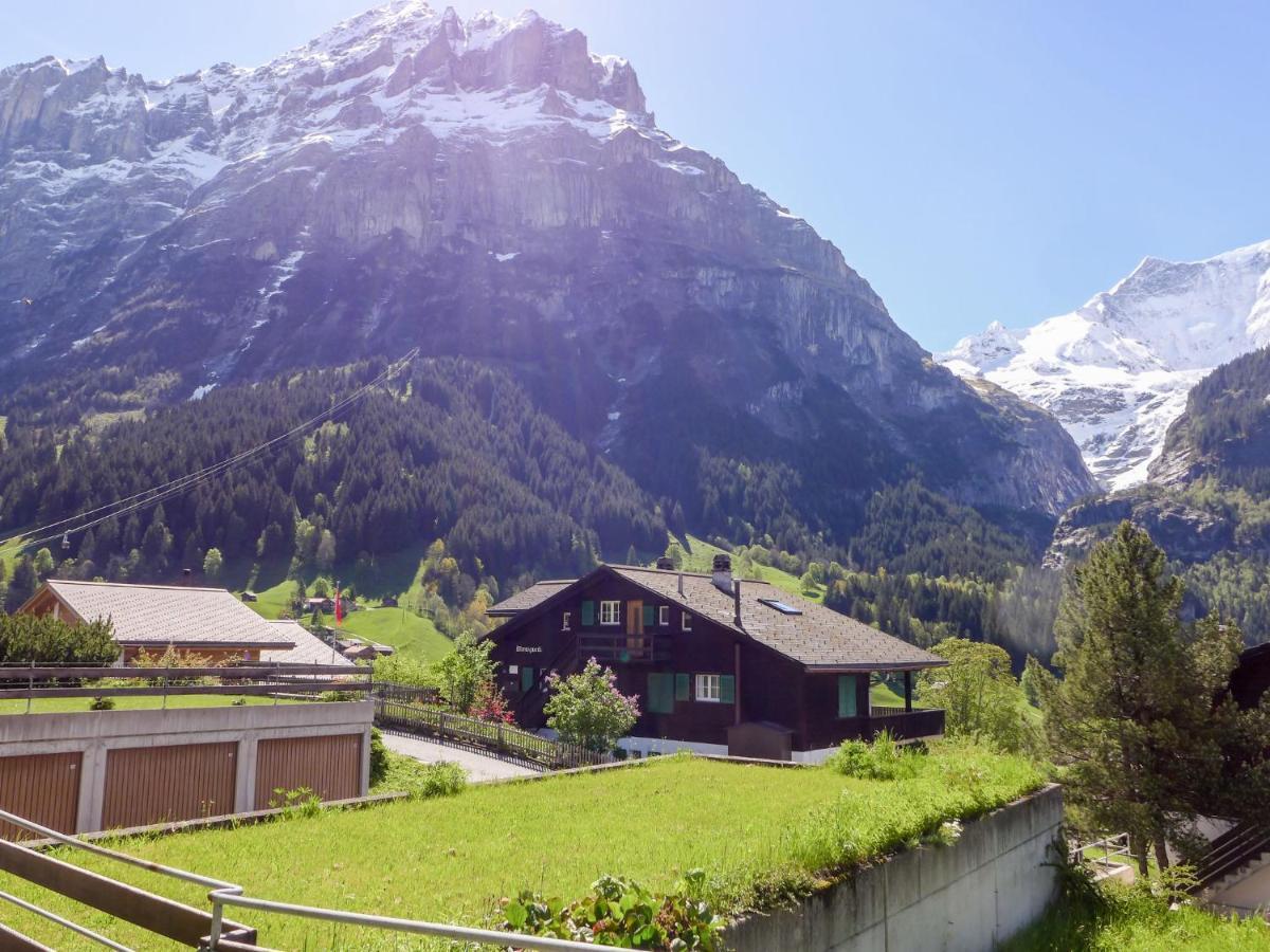 Apartment Chalet Almis-Boedeli-1 By Interhome กรินเดลวัลด์ ภายนอก รูปภาพ