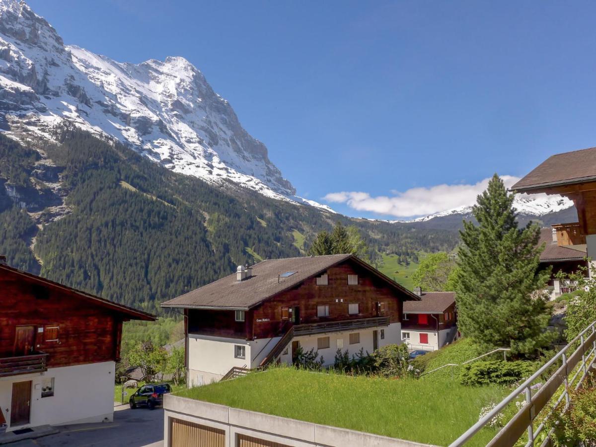 Apartment Chalet Almis-Boedeli-1 By Interhome กรินเดลวัลด์ ภายนอก รูปภาพ